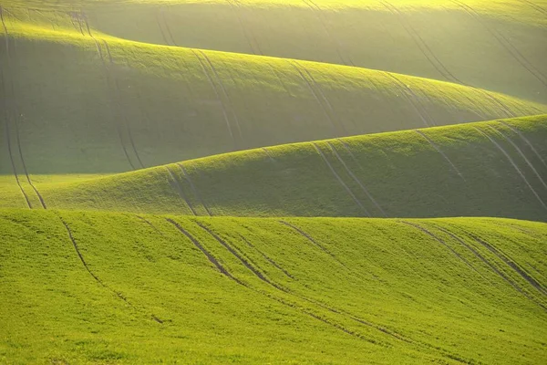 Hermoso Paisaje Primavera Con Campo Colinas Hierba Atardecer Olas Naturaleza — Foto de Stock