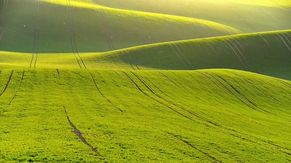 Primavera Verde Natureza Fundo Com Pôr Sol Grama Ondas Campo — Fotografia de Stock