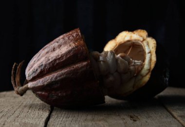 Kakao ağacı meyvesi