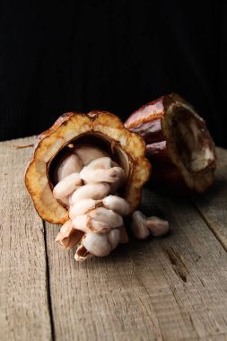 Kakao ağacı meyvesi