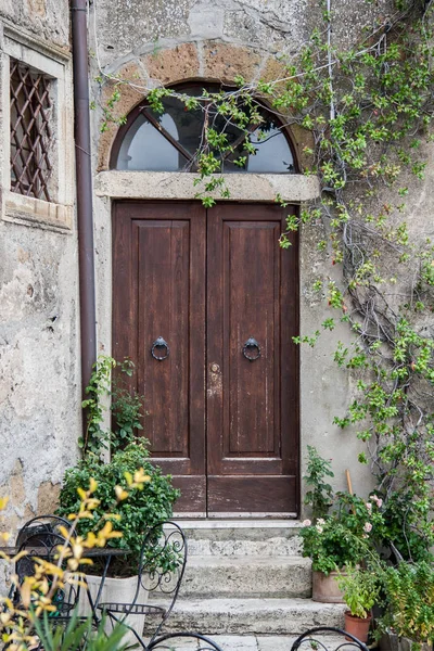 緑に囲まれた玄関茶色の扉 — ストック写真
