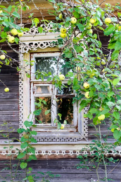 リンゴの木の庭と古い家の窓の彫刻フレーム — ストック写真
