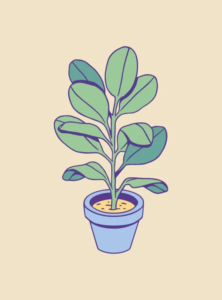 Leuke met de hand getekende kamerplant. Vectorillustratie. — Stockvector