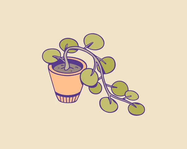 Linda planta de interior dibujada a mano. Ilustración vectorial . — Vector de stock