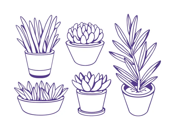 Lindas plantas dibujadas a mano. Colección vectorial . — Vector de stock
