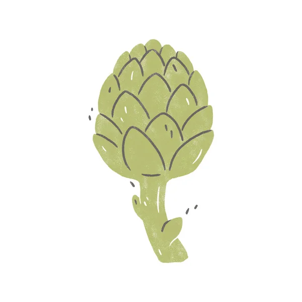 Artichoke Hand Painted Illustration Isolated White Background — Stock Photo, Image