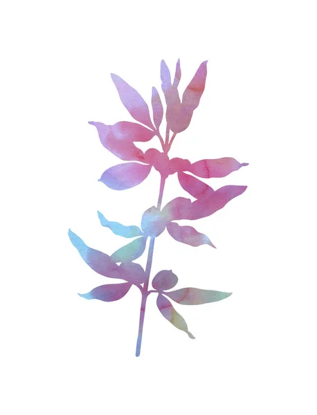 Güzel Bitki Beyaz Arka Planda Elle Boyanmış Bir Resim Suluboya — Stok fotoğraf