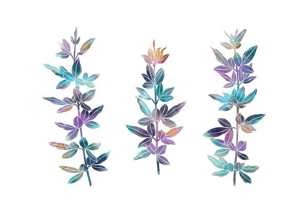 Güzel Bitkiler Beyaz Arka Planda Elle Boyanmış Bir Resim Renkli — Stok fotoğraf