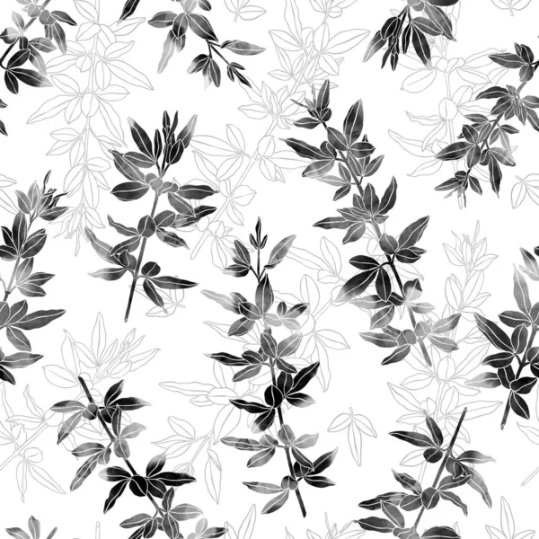 Beautiful Black White Pattern Watercolour Botanical Illustration — Stock Photo, Image