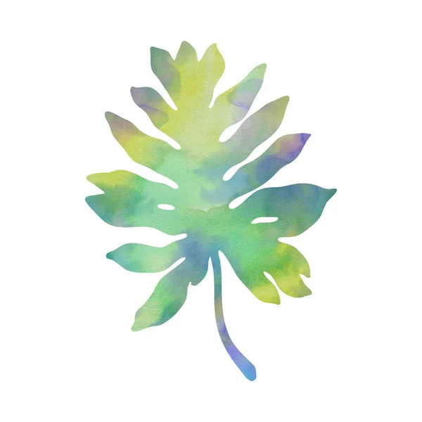 Красивое Тропическое Растение Ручная Роспись Декоративное Изображение Изолированы Белом Фоне — стоковое фото