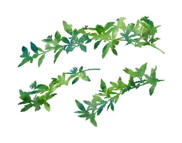 Vackra Grenar Handmålad Dekorativ Bild Isolerad Vit Bakgrund Botanisk Illustration — Stockfoto