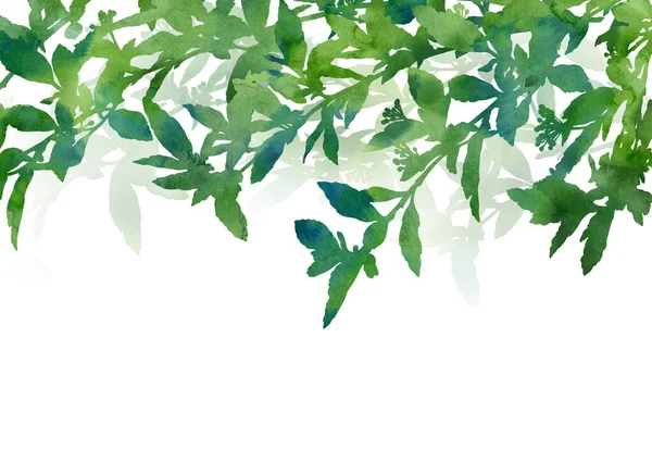 Piękne Zielone Rośliny Ręcznie Malowany Obraz Kreatywnego Projektowania Kart Zaproszeń — Zdjęcie stockowe