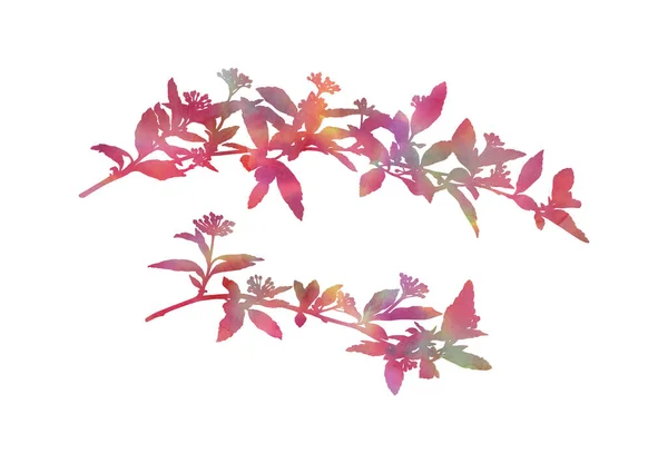 Krásné Větve Ručně Malované Dekorativní Obraz Izolovaný Bílém Pozadí Jasná — Stock fotografie