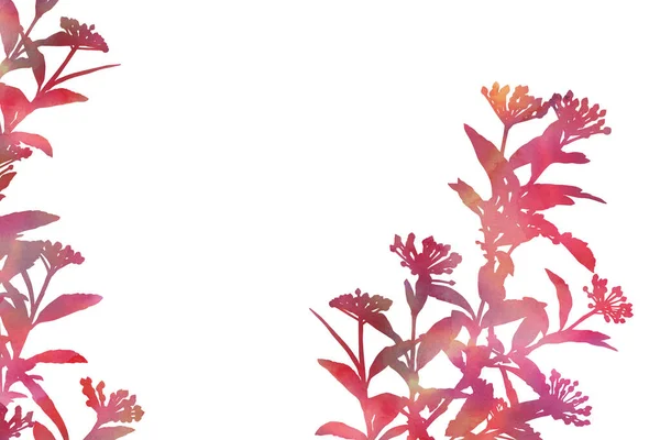 Рослини Ізольовані Білому Тлі Ручне Пофарбоване Декоративне Зображення Місцем Тексту — стокове фото