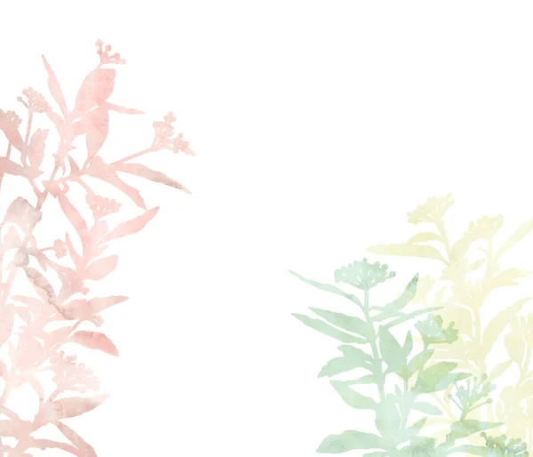 Beautiful Branches Isolated White Background Decorative Image Creative Design Cards — Stock Photo, Image