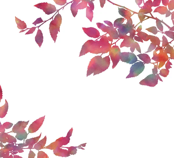 秋の枝は白い背景に孤立しています カード 招待状 バナー ウェブサイト ポスターの創造的なデザインのための装飾的な画像 手描き水彩イラスト 明るい色 — ストック写真
