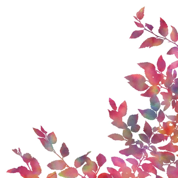 白い背景に隔離された美しい植物 カード 招待状 バナー ウェブサイトやポスターの創造的なデザインのための装飾的な画像 手描き水彩画 明るい色 — ストック写真