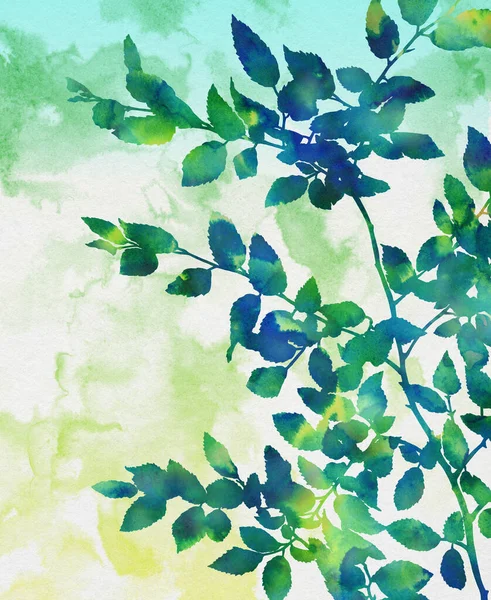 水彩植物画 ポスター カード バナー ウェブサイトなどの創造的なデザインのための手描きのイラスト — ストック写真