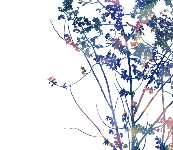 手描きの木 カード 招待状 バナー ウェブサイト ポスターの創造的なデザインのための装飾的な画像 美しい水彩画の作品 明るいカラーパレット — ストック写真
