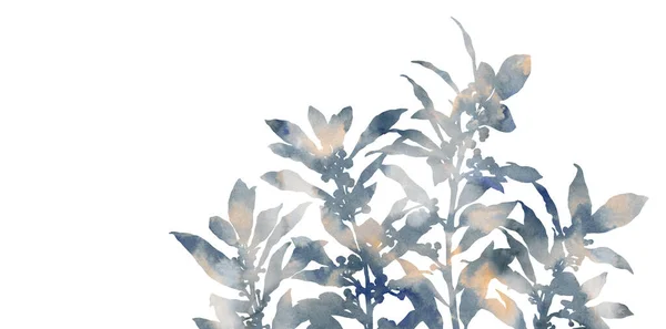 Akvarelové Rostliny Ručně Malovaný Obraz Izolovaný Bílém Pozadí Dekorativní Obraz — Stock fotografie