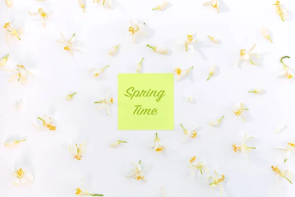Floral pattern with green paper blank "spring time" in center. white almond flowers with yellow center on white background. Flat lay, top view. — Stock Photo, Image