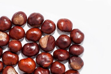 çiğ kestane rengi.