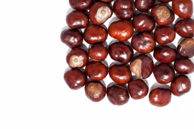 çiğ kestane rengi.