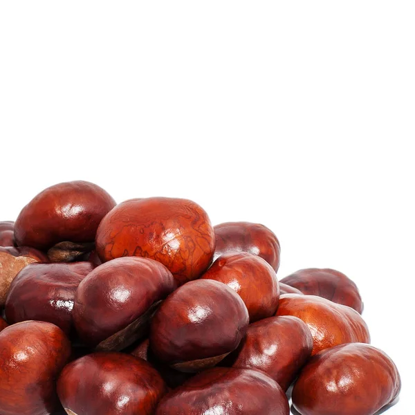 Texture Raw Brown Chestnuts — Stock Photo, Image