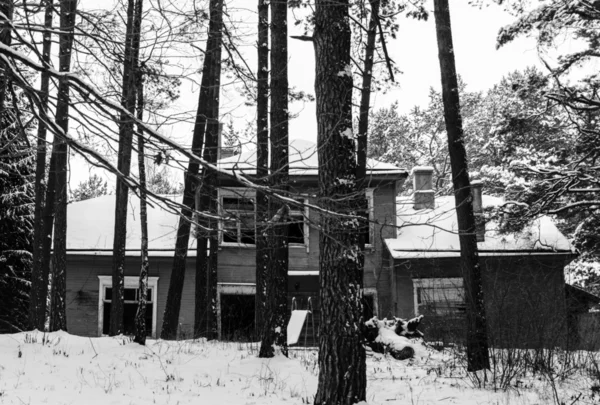 Gamla hus i skogen — Stockfoto