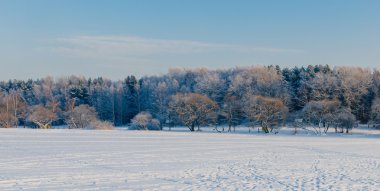 kış deniz manzarası