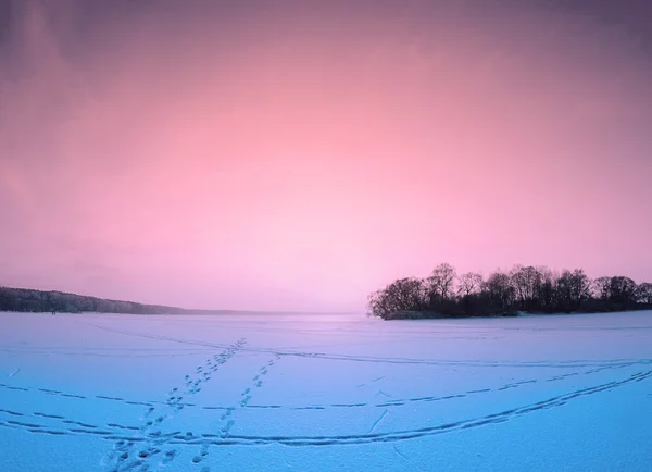 Sur le lac gelé — Photo