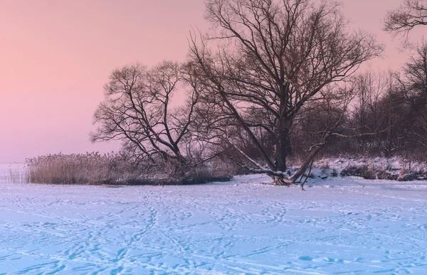 Mer gelée à l'heure du coucher du soleil — Photo