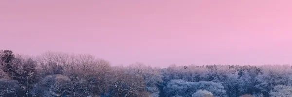 Vinterskog landskap — Stockfoto