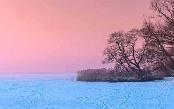 Crépuscule sur la mer gelée — Photo