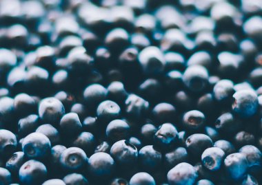 Taze yaban mersini arkaplanı