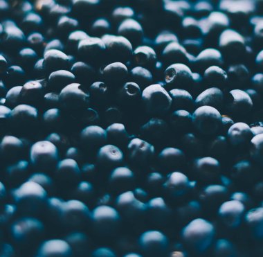 Taze yaban mersini arkaplanı