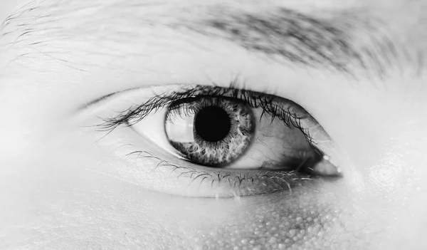 Occhio dell'uomo — Foto Stock