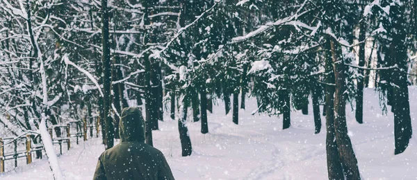 Joven en el bosque de invierno — Foto de Stock