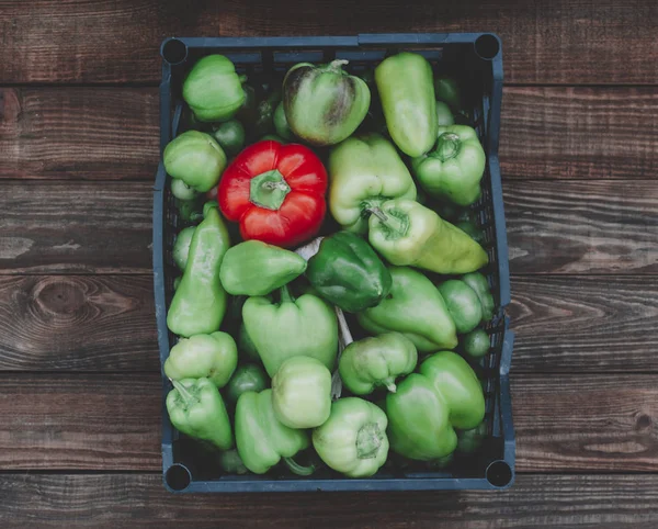 Pimentos em caixa — Fotografia de Stock