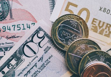 Para banknot ve madeni paralar