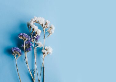 İhale kuru çiçekler