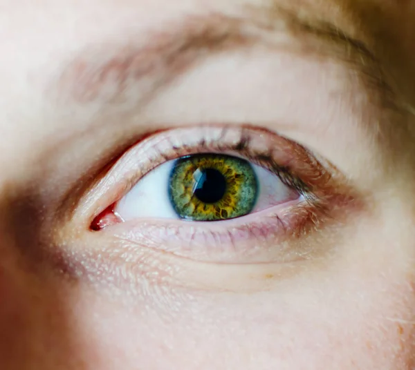 Ojo verde del joven — Foto de Stock