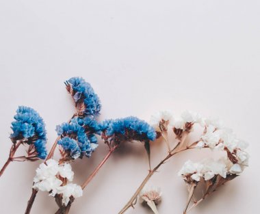 İhale kuru çiçekler