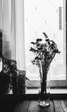 Odada Pencerede Çiçekler