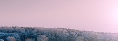 Güzel Kış Ormanı 