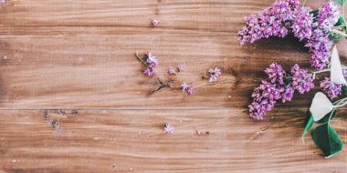 Çiçek çiçek açan leylak