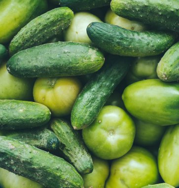 Domates ve salatalık.