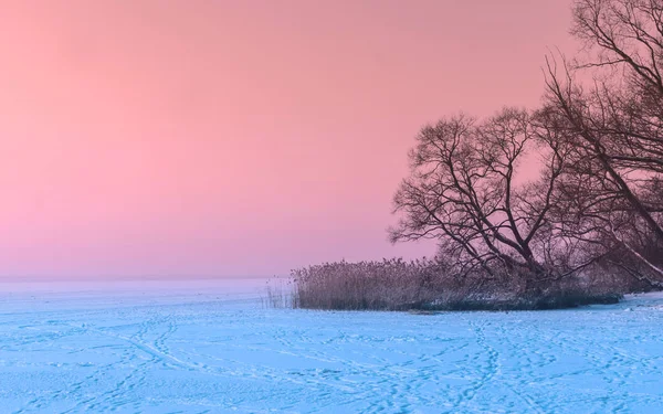 Lac gelé en hiver — Photo