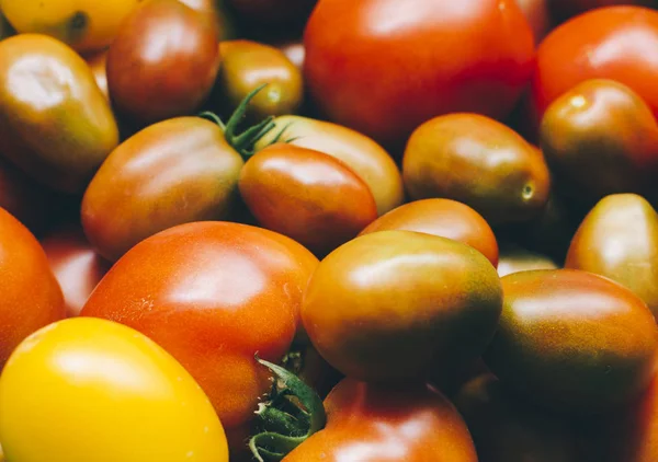 Tomates vermelhos maduros — Fotografia de Stock