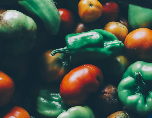 Tomates frescos e pimentos — Fotografia de Stock